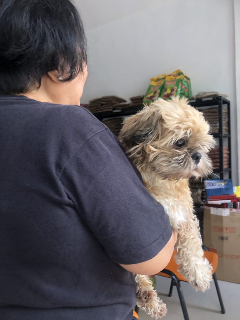 Vaccination Bacoor Cavite