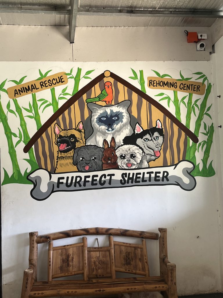 Furfect Shelter