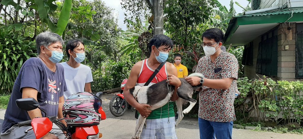 Vaccination Pagsanjan