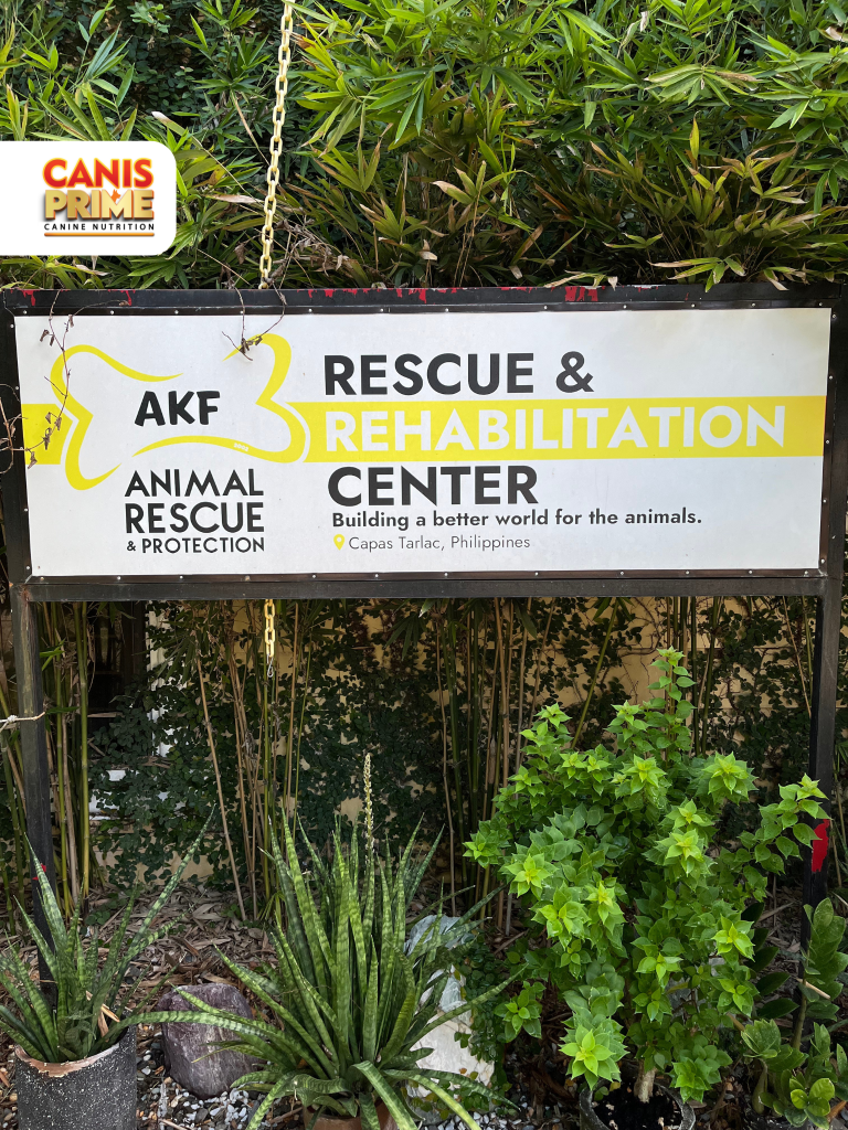 AKF Animal Rescue-Canis Prime