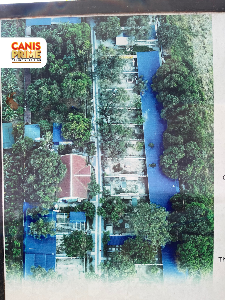 AKF Location-Canis Prime