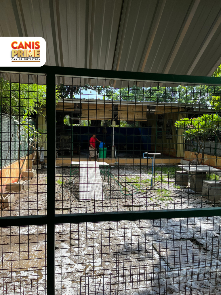 AKF Visits-Canis Prime