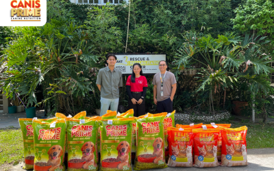 PAWject Sigla: Canis Prime Visits Animal Kingdom Foundation