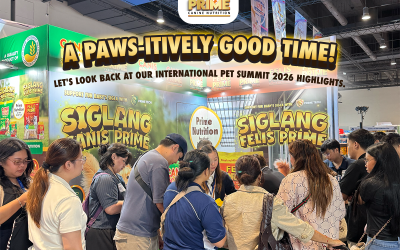 From Pawshakes to Smiles: Looking Back at the International Pet Summit 2026