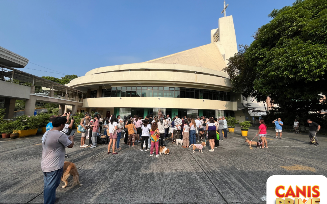 Blessed Paws, Bright Pet-Parents, and Big Smiles: Canis Prime Celebrates the Feast of St. Francis of Assisi! 🐾✨