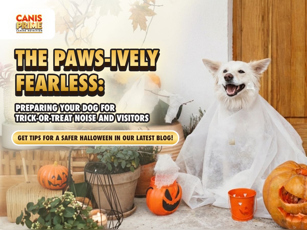 Paws-itively Fearless